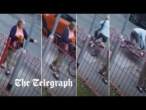 Moment pedestrian swears at a cyclist before she&#039;s hit and killed by a car