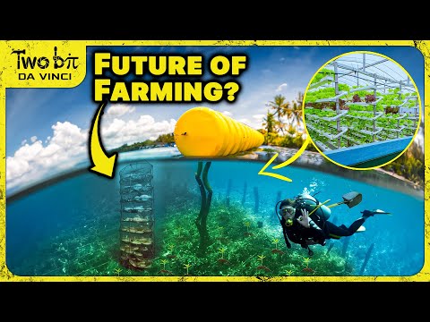 Scientists Want to Start Ocean Farms - This Surprised Me!