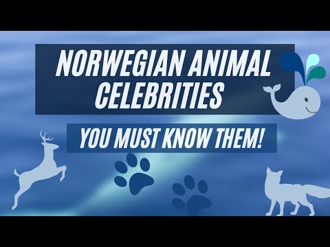 FAMOUS ANIMALS FROM NORWAY I Animal protection I Heart touching stories I Interesting facts