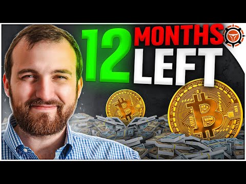 Shocking $250k Bitcoin Price PREDICTION! Cardano &amp; Ethereum Founder Speaks Out