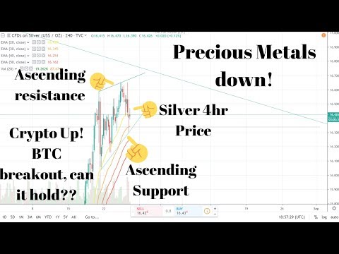 Precious Metals Down and Crypto Market up! Could a recovery be in site?