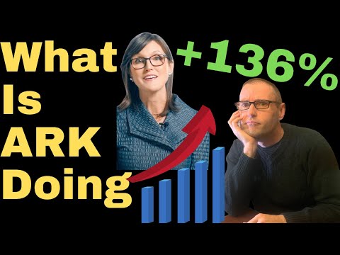 ARK Invest ETF Analysis | What is Cathie Wood Doing In The Stock Market?